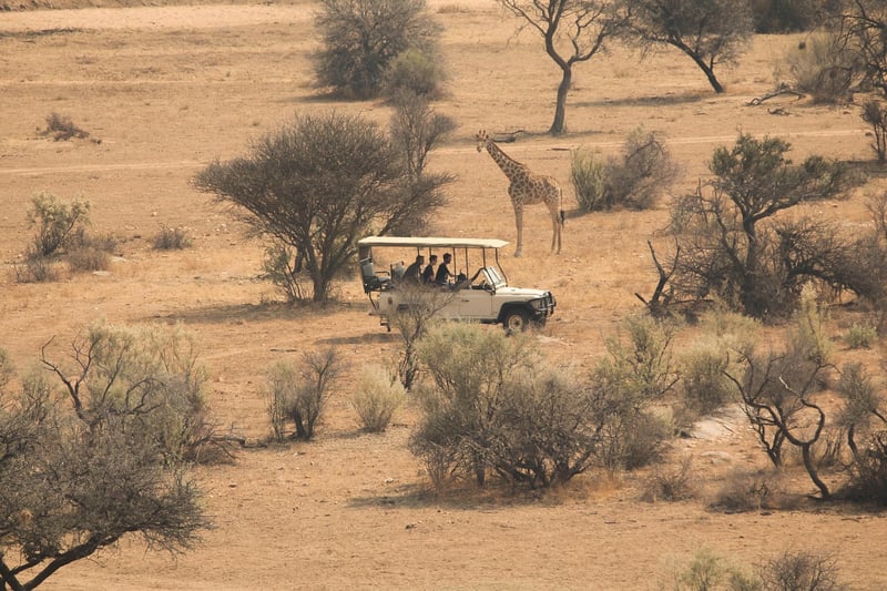 Safari Trips